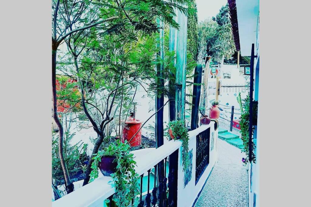 Gran Canaria La Finca De Carmelita Y Bartolito Лас-Пальмас-де-Гран-Канария Экстерьер фото